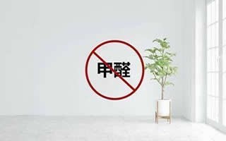 绥化除甲醛｜绥化甲醛检测空气净化提供工装甲醛治理服务